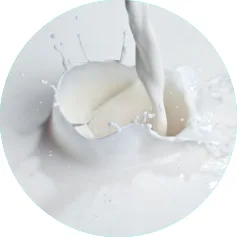 Beschaffungsmanagement Molkereiprodukte Beschaffungsmanagement Molkereiprodukte