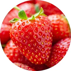 Beschaffungsmanagement Obst Gemüse Beschaffungsmanagement Obst Gemüse