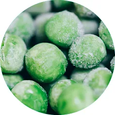 Beschaffungsmanagement Tiefkühlware Beschaffungsmanagement Tiefkühlware